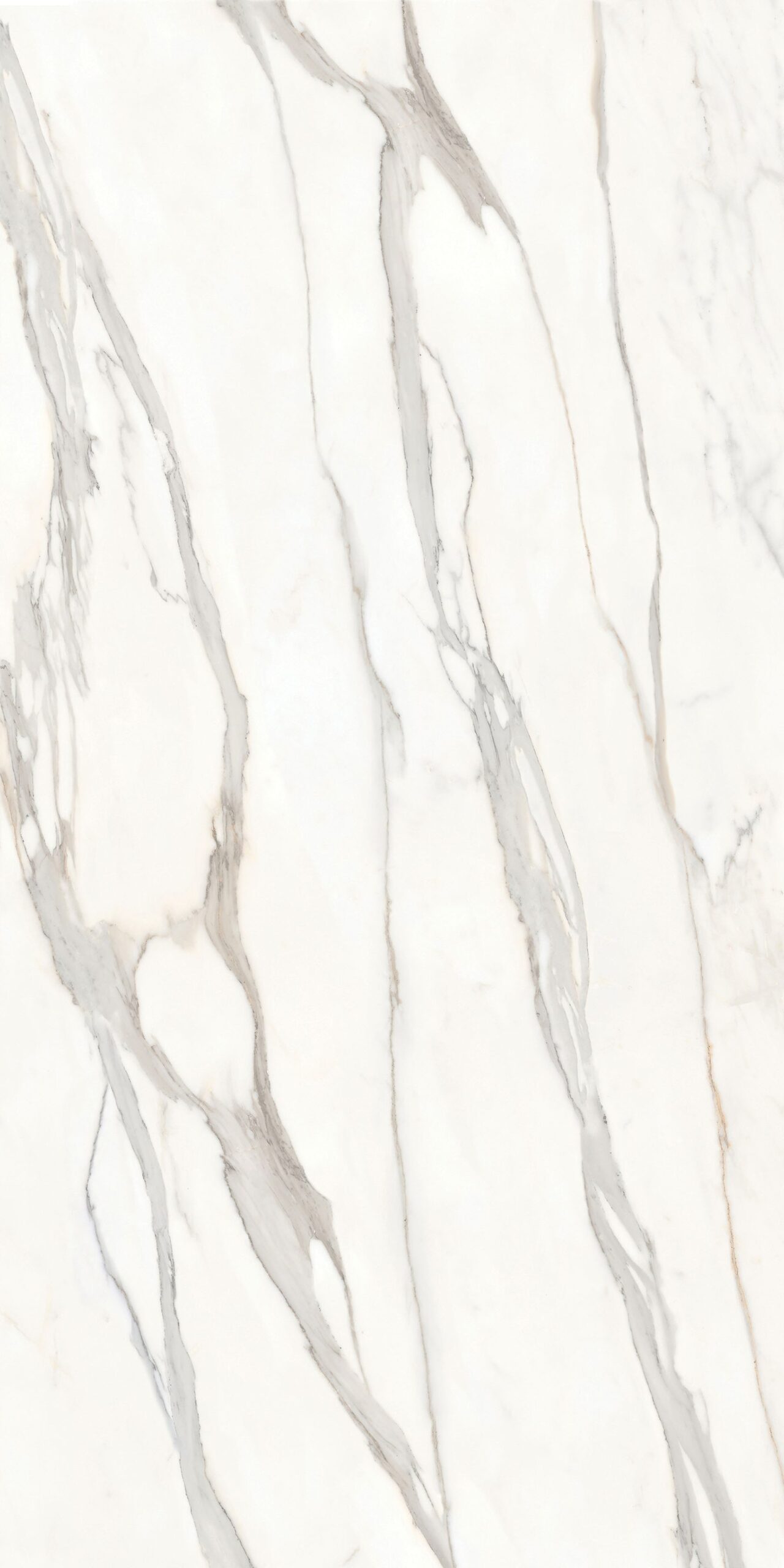 פלטת שיש Calacatta Borghini — דגם יוקרה באולם התצוגה של שיש ניר צבי