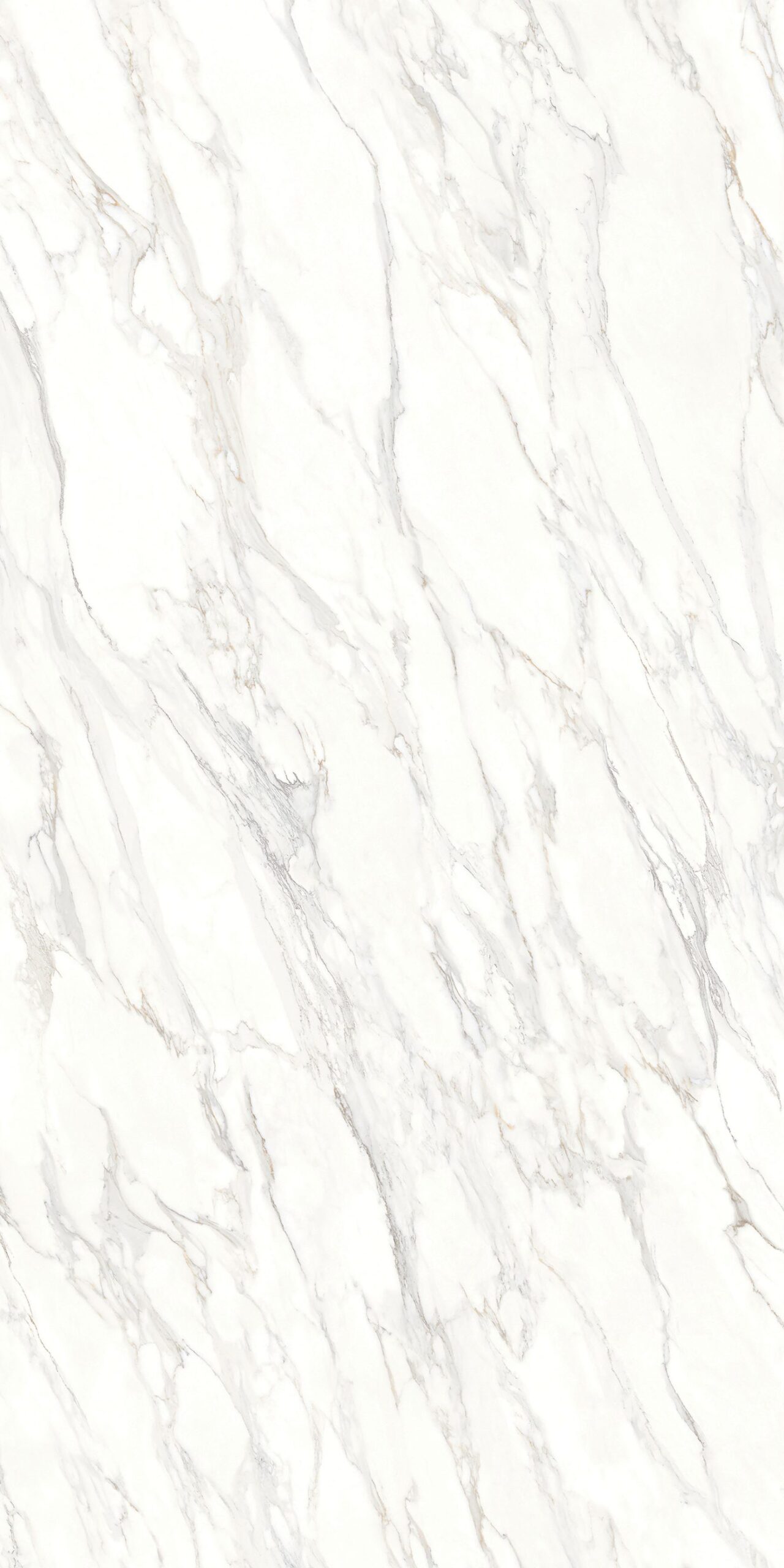 CARRARA BIANCO