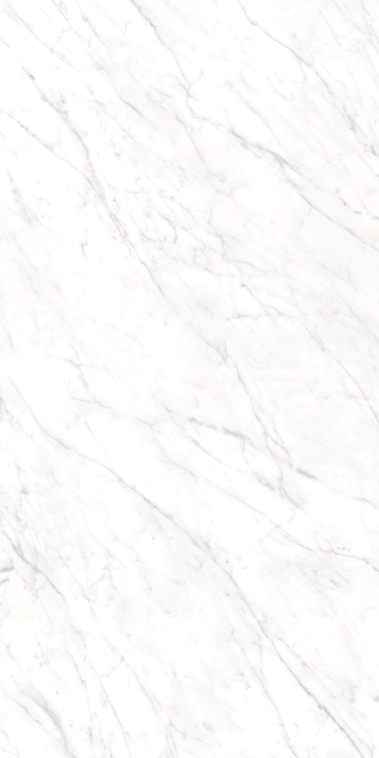 CARRARA DELICATO