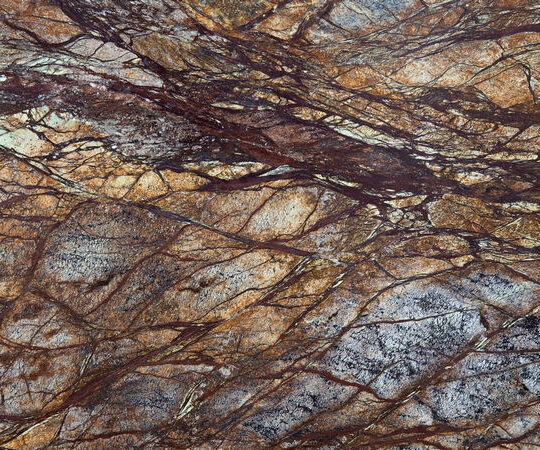 RAIN FOREST BROWN